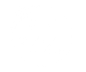 Girl of 10,000 Lakes
